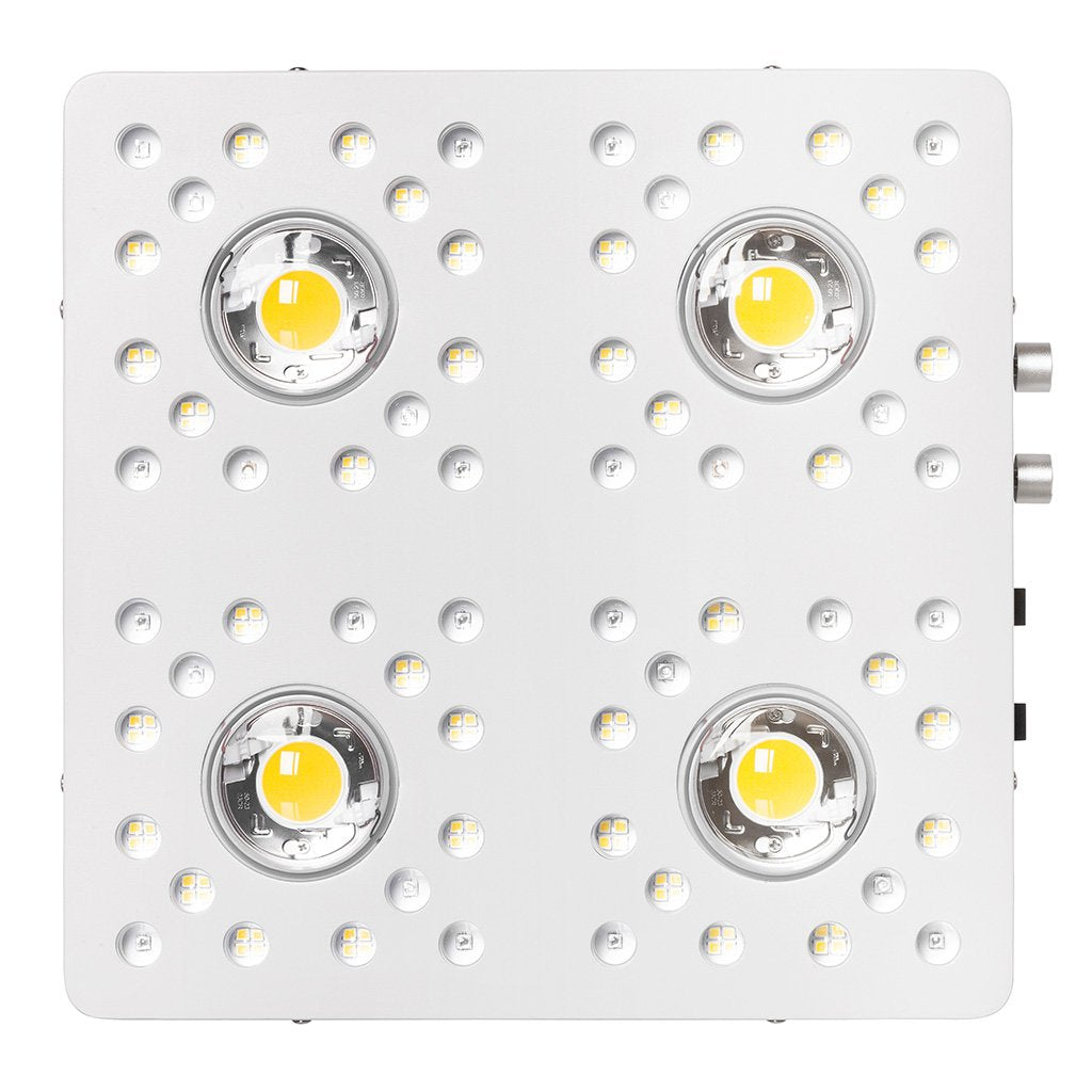 Optic led cheap