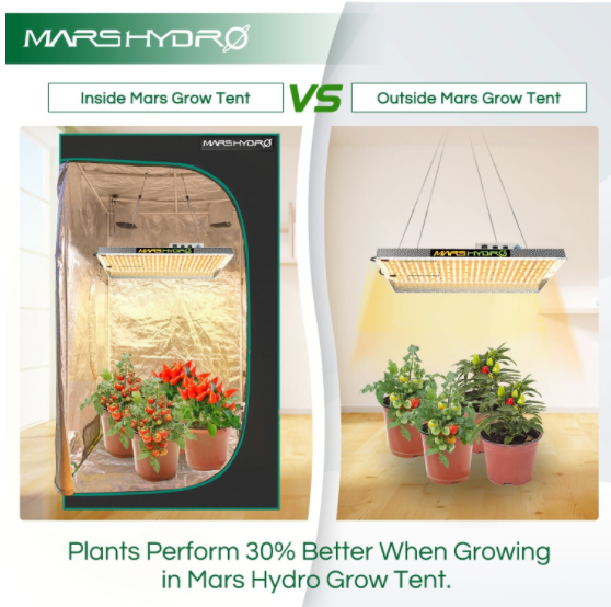 Mars Hydro 4' x 4' x 6.5' Indoor Grow Tent